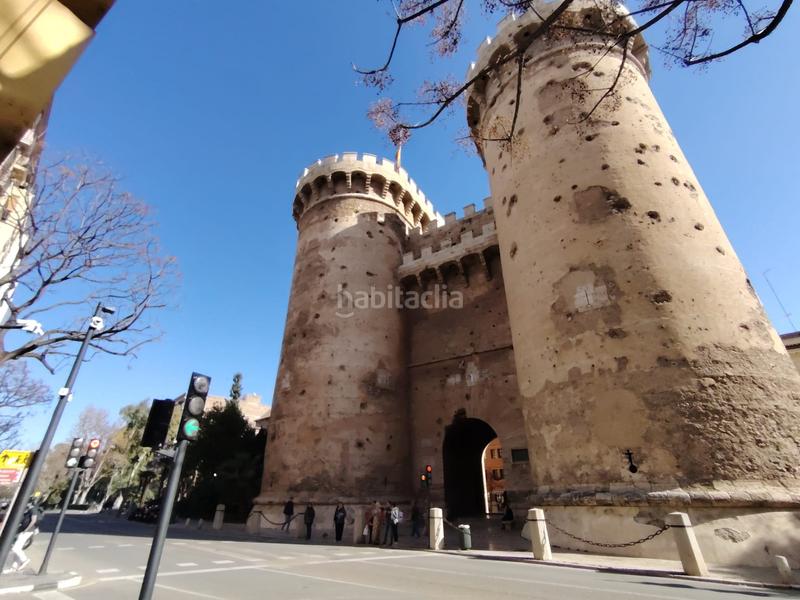 Foto 18714848-7239-48be-9ec3-b5a721d0c8fe. Pis a El Botànic Valencia