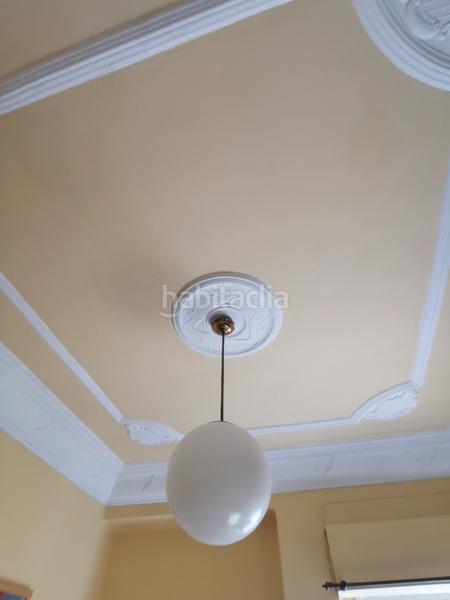 Foto 1e7d6af9-4f32-4385-accd-a08fbfaf1a45. Pis a El Botànic Valencia