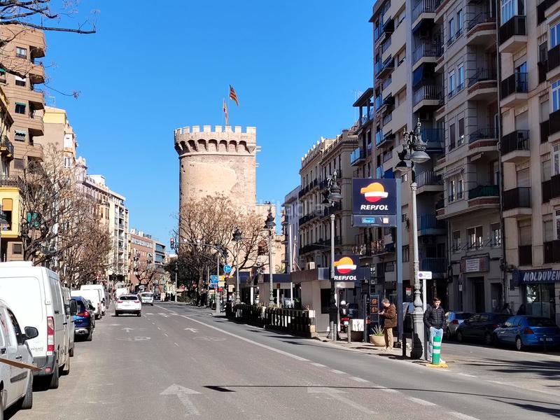 Foto 6f48f64b-3824-4b04-9103-472327edd703. Pis a El Botànic Valencia