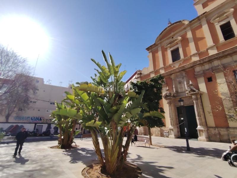 Foto e39a7a2b-fd32-4586-99ff-f2b05c560a20. Pis a El Botànic Valencia