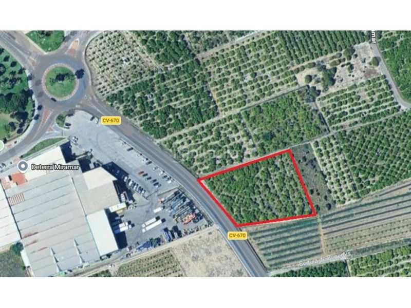 Foto 5f31b66d-3ece-493b-8c3f-97cb410e4bfa. Finca rústica a Miramar