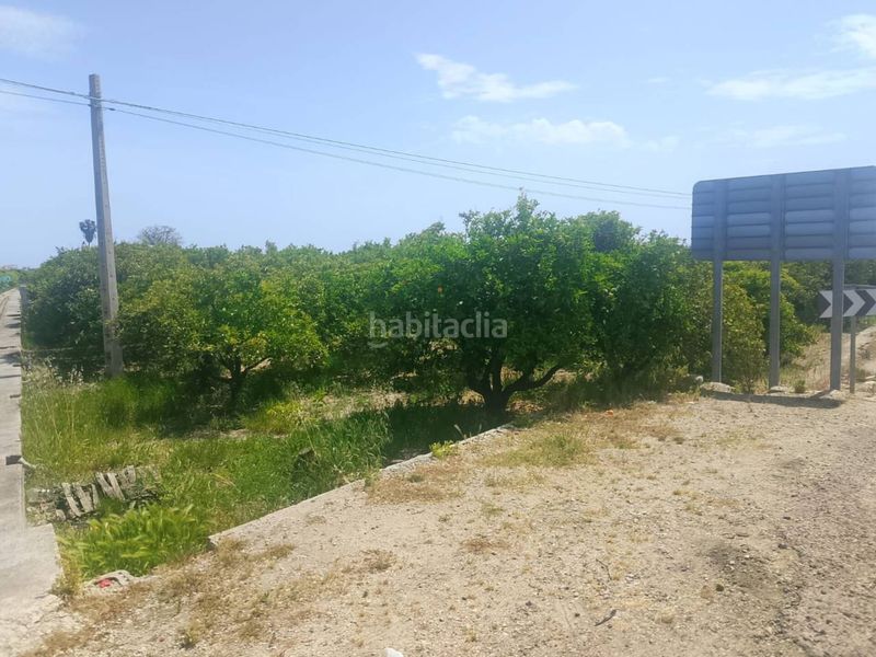 Foto 6120ec6a-49ad-4427-a682-e1341145d9b6. Finca rústica a Miramar