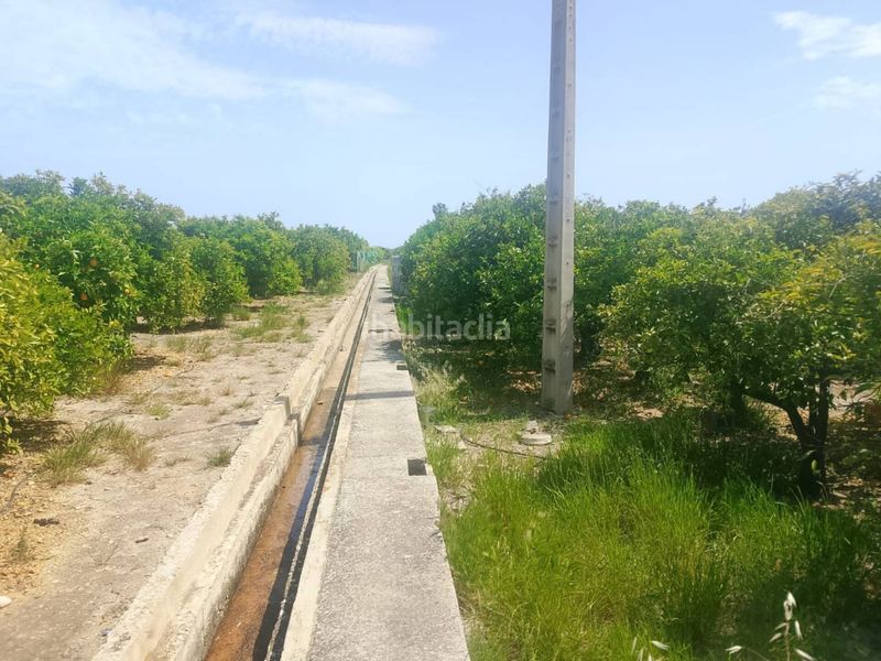 Foto 61c5ea31-d3c8-4cef-a73b-6a22f96b777b. Finca rústica a Miramar