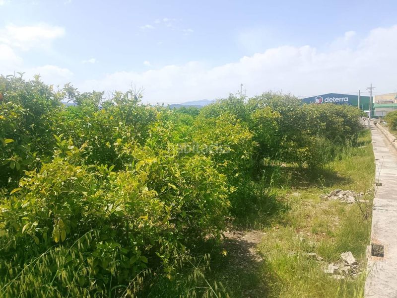 Foto 6580f5a5-5005-4ce8-8e25-b9ba85a0d2a5. Finca rústica a Miramar