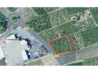 Finca rústica  Ronda llevant. Amplio terreno cerca de miramar de 4 hanegadas