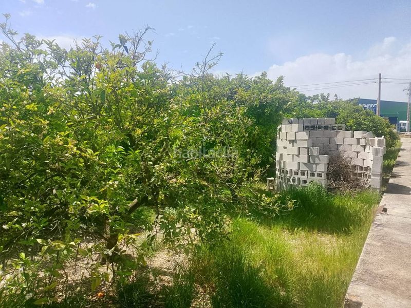 Foto e14ef539-33a3-4b5d-a295-1c1c9ed34286. Finca rústica a Miramar