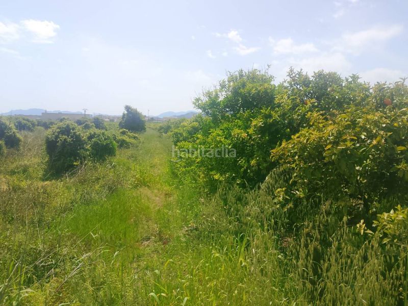 Foto e18df66b-eceb-4796-a20b-080c89401876. Finca rústica a Miramar