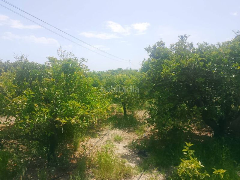 Foto e7639400-cde6-4d16-aaac-f41c256d9b8d. Finca rústica a Miramar