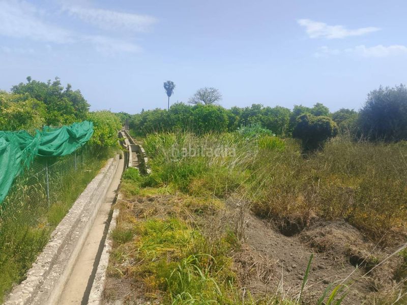 Foto f3639f2f-4626-402a-9800-a8d17ff25118. Finca rústica a Miramar