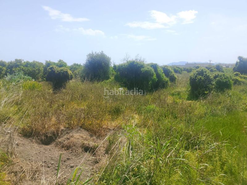 Foto fb3debb9-dd2e-4902-ae77-c11599561589. Finca rústica a Miramar