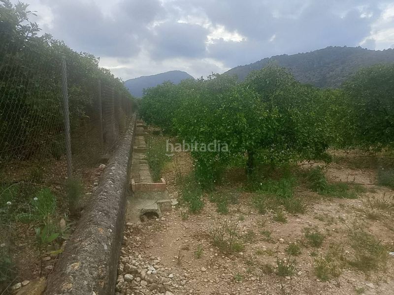 Foto 429bc4da-2ae2-4530-af39-55f51a995994. Finca rústica a Oliva pueblo Oliva