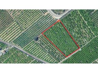 Fondo rustico  Camino torre de los pares. Amplio terreno vallado cerca poligono de guardamar para muchos u