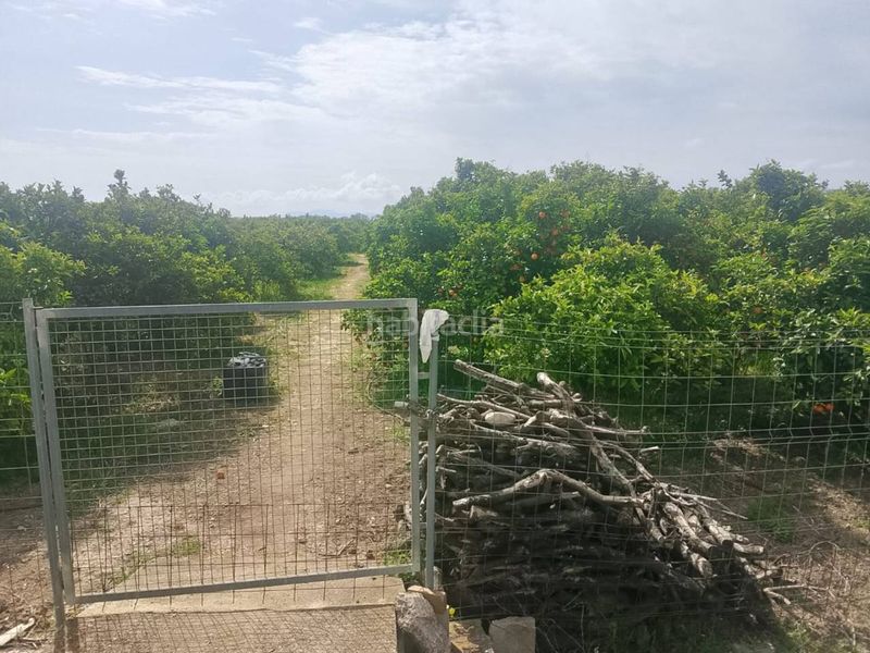 Foto 4af6fd67-4ff5-46d1-a4ea-7eee1b929a02. Finca rústica a Guardamar