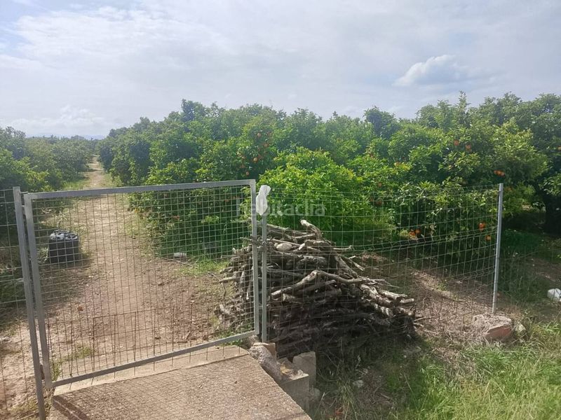 Foto 52b289ee-5c43-41f8-bc01-60acdf52c0ed. Finca rústica a Guardamar
