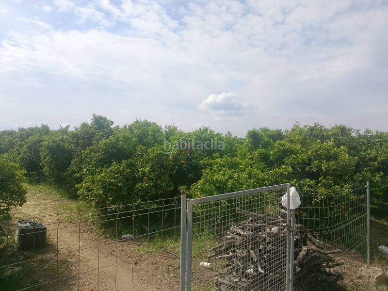Foto c3af4921-3445-4ed4-abb9-5b4e4b07d039. Finca rústica a Guardamar