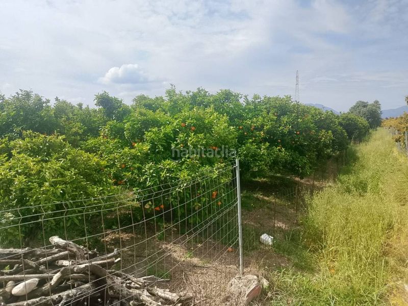 Foto c4c06d8b-e292-4637-906e-1460acc31e75. Finca rústica a Guardamar