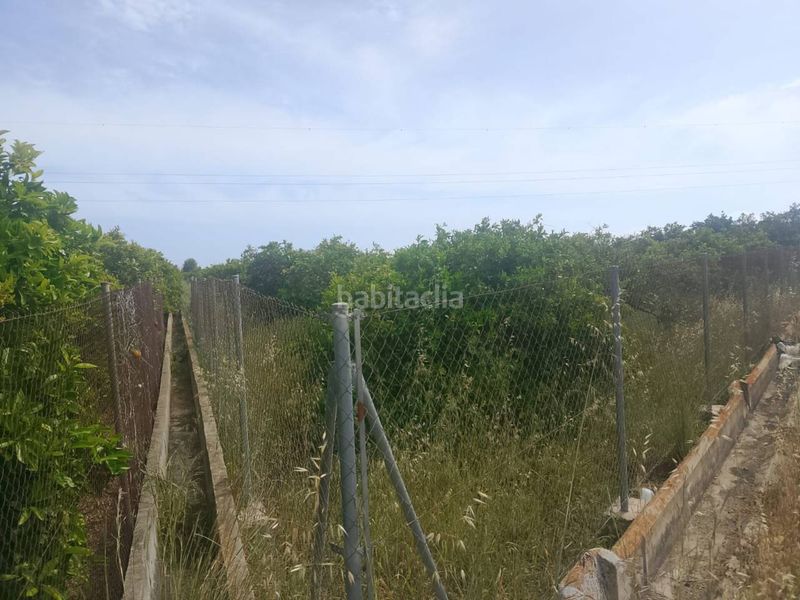 Foto 75e7b39d-188e-4e10-8416-ce8e07949abd. Finca rústica a Guardamar