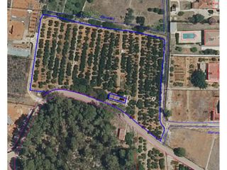 Finca rústica  Calle cami rural rotova. Terreno de 9 hanegadas cerca cami rural rotova en marxuquera