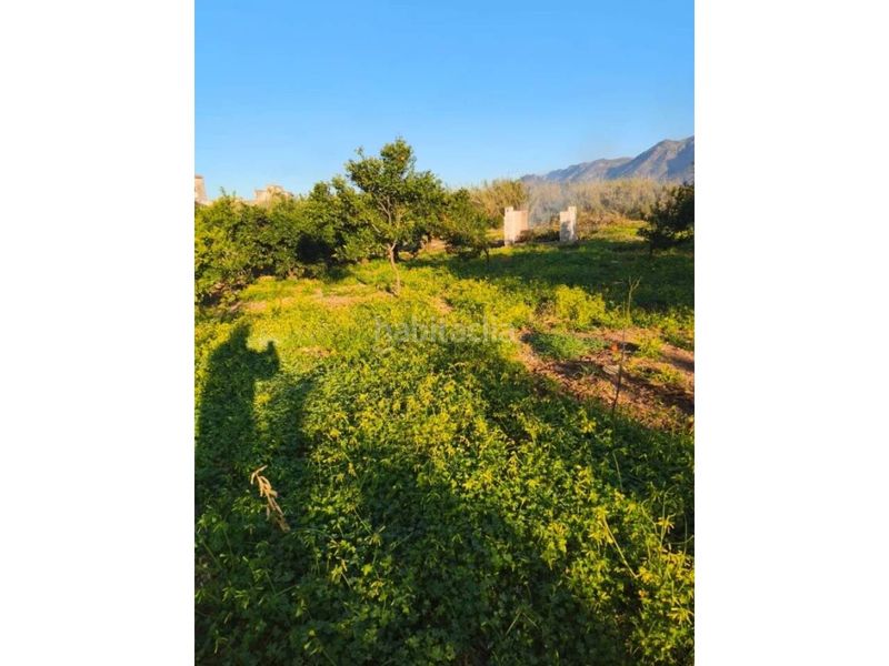 Foto 4849de17-5340-4630-88e3-3736eba448eb. Finca rústica a Benifairó de la Valldigna