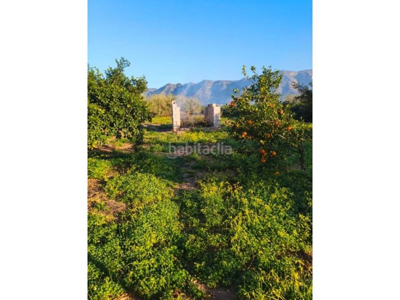 Foto 65a683dc-2666-4d43-83f4-6aaf2ed108ee. Finca rústica a Benifairó de la Valldigna