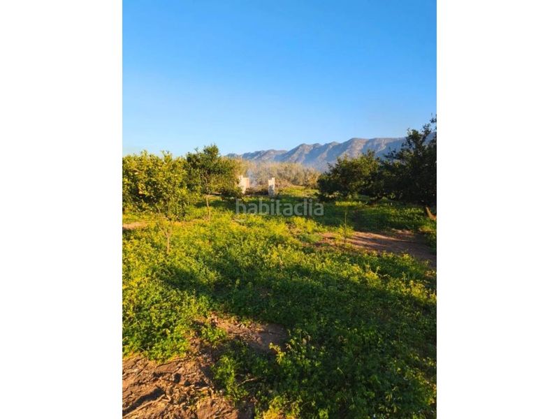 Foto e46fd845-da7f-4358-abac-475e94745d62. Finca rústica a Benifairó de la Valldigna