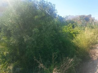 Residential Plot  Calle valldigna. Gran solar urbano en rafelcofer  651 m  605.000