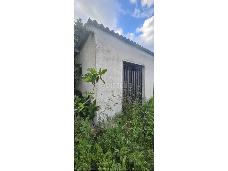 Foto 1017a819-bac2-47a4-b606-59267be01978. Finca rústica a camino séquia nova 1 a Xeresa