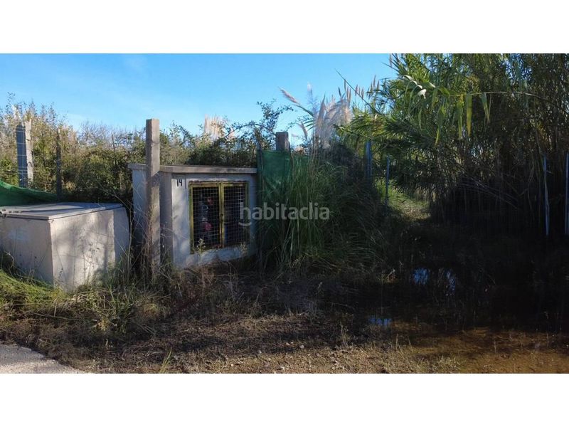 Foto e2a56079-e0ee-4a2b-bc66-ff7bbc6741b9. Finca rústica a camino séquia nova 1 a Xeresa