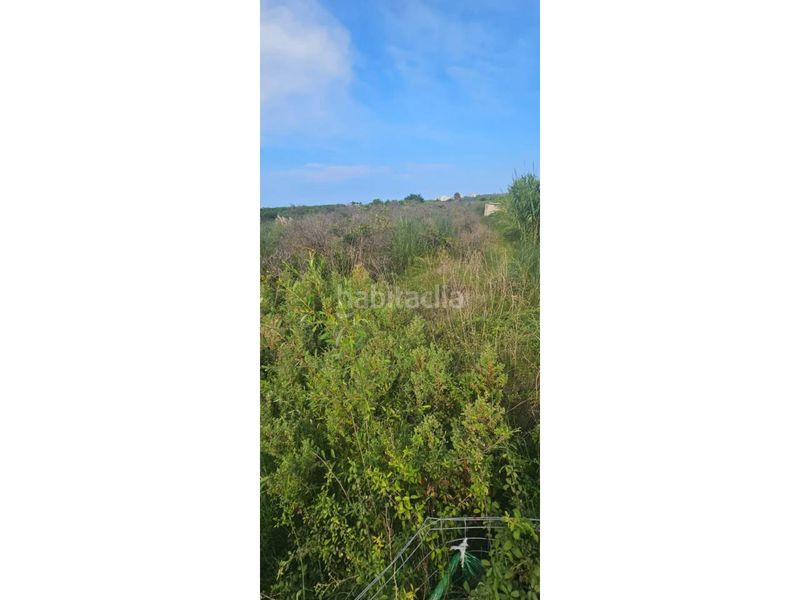 Foto e7f636e5-e962-4dc6-8bd1-8431403391b3. Finca rústica a camino séquia nova 1 a Xeresa