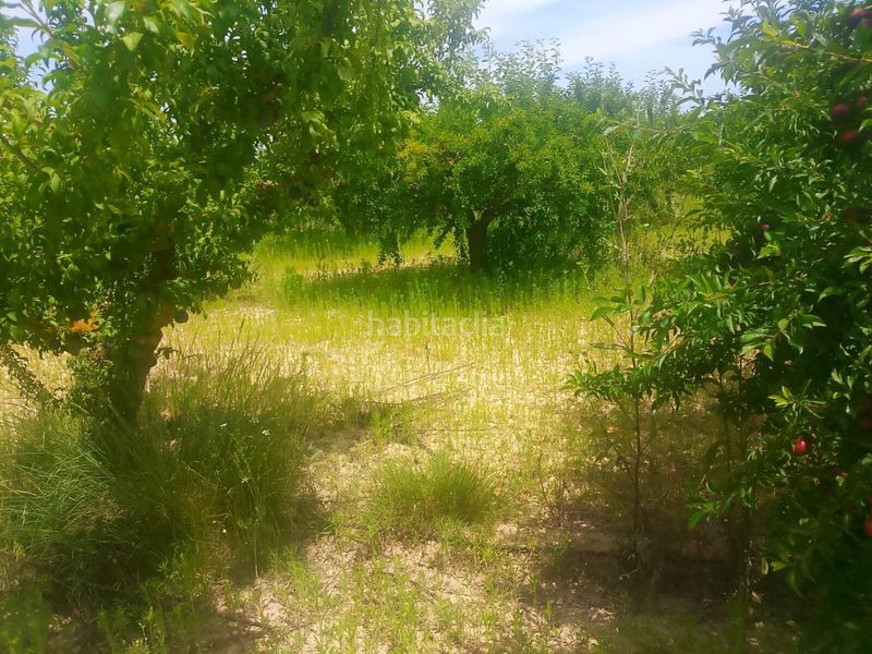 Foto 055c7b3d-571d-4bf7-9d1f-6382a4921e3a. Finca rústica a Bèlgida