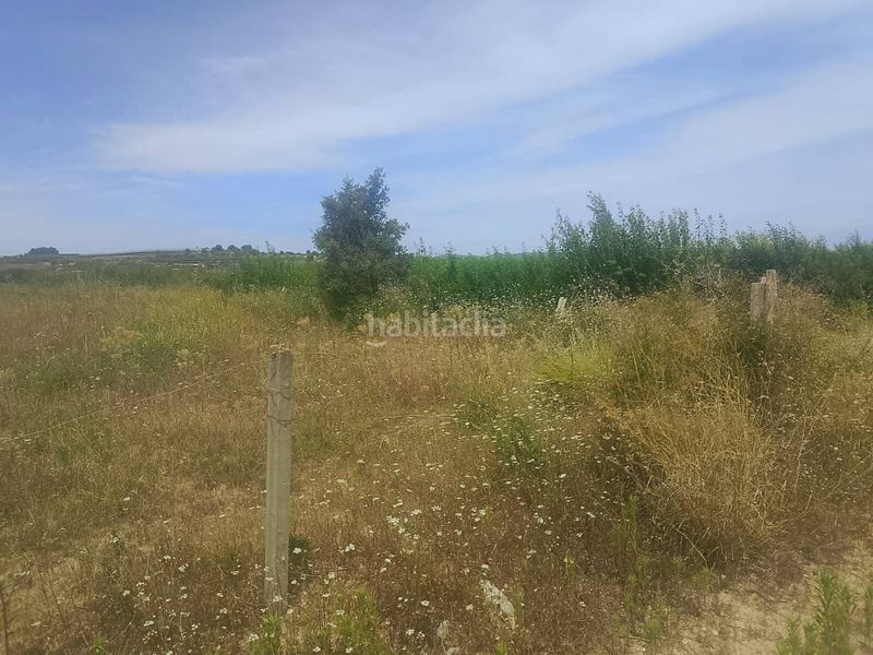 Foto 1ce610e4-e4fe-49d4-8b39-109b0266cc39. Finca rústica a Bèlgida