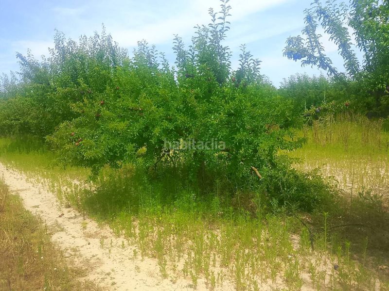 Foto 32841c74-0c67-43e0-8ec1-db6e8642d534. Finca rústica a Bèlgida