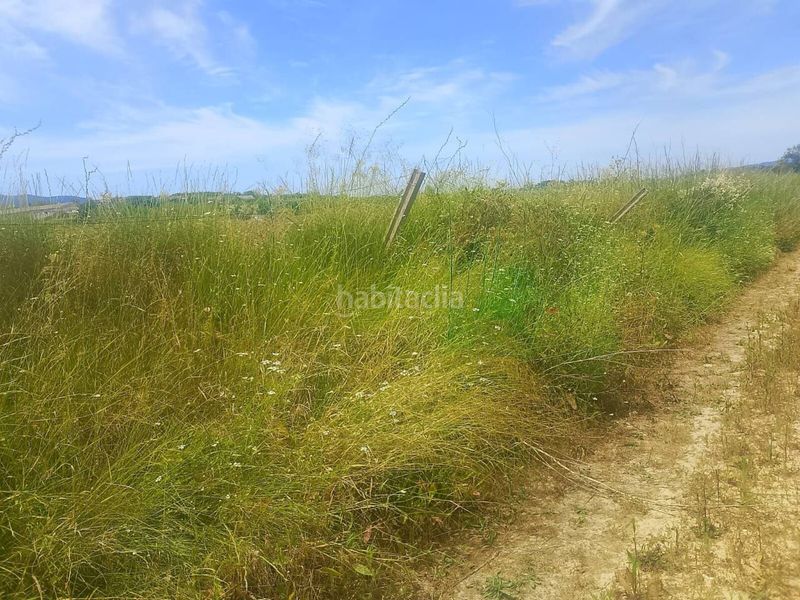 Foto 6d71dcec-441e-4ffb-ad5d-2482399de03e. Finca rústica a Bèlgida