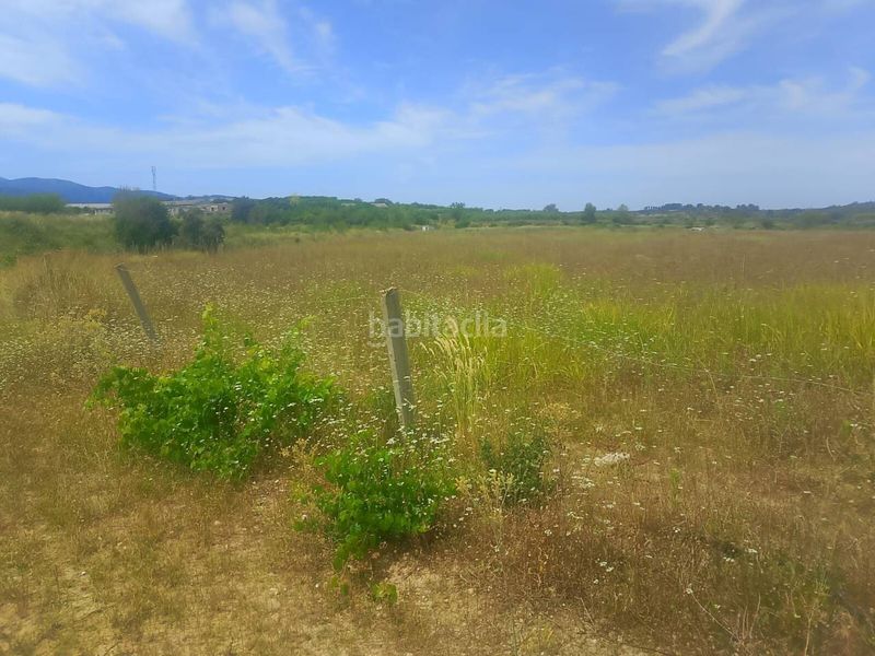 Foto 7ccd877e-5d32-4fa5-a625-66ea1ae3c06a. Finca rústica a Bèlgida