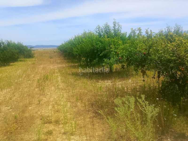 Foto 99d3c401-546b-4258-99c1-13b8f3d73c49. Finca rústica a Bèlgida