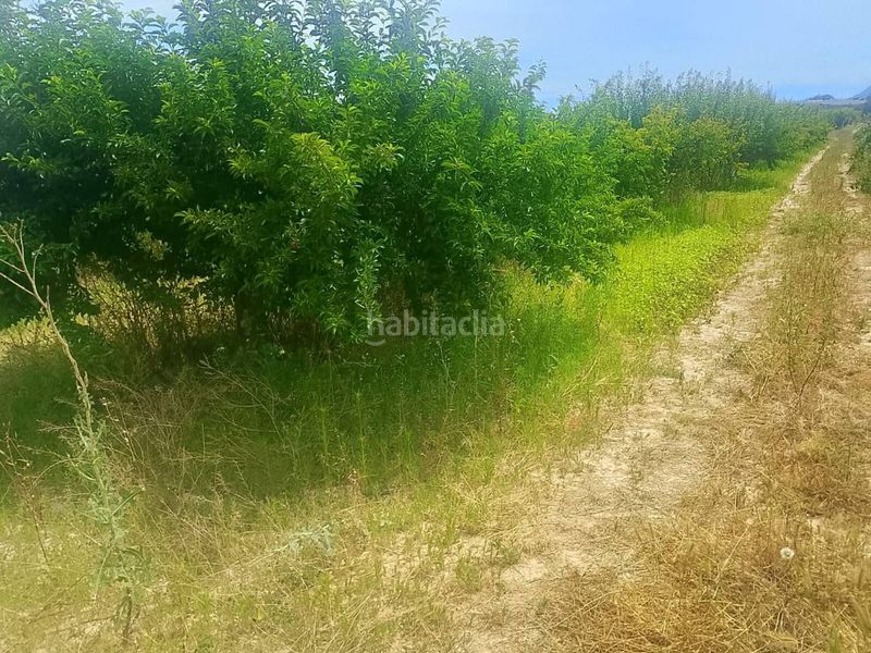 Foto e6c0d042-b6af-4d05-8ba5-87aa586a6436. Finca rústica a Bèlgida