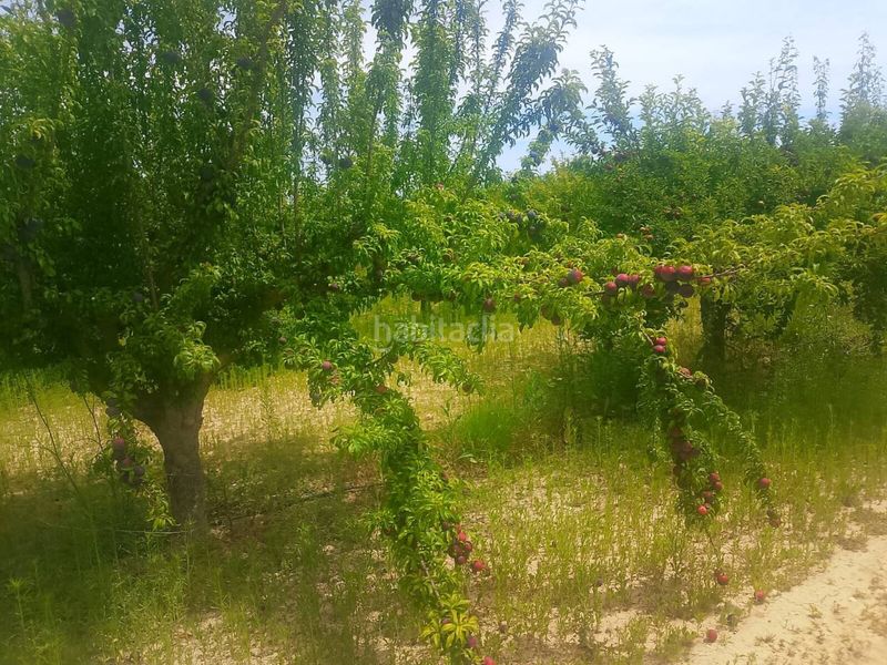 Foto eecc0e2e-6728-4e56-8e1f-1faf058ee8d2. Finca rústica a Bèlgida