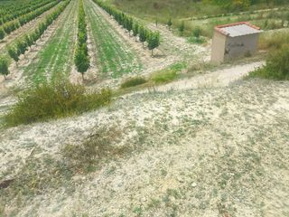 Fondo rustico in Bèlgida. Terreno de  15.492 m 18,6 hanegadas en belgida con dos accesos y