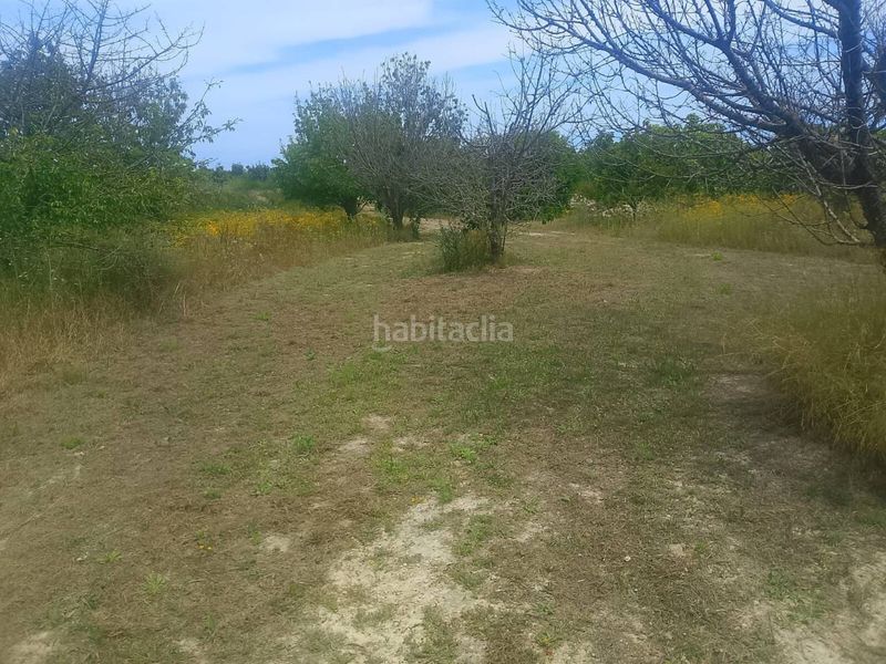 Foto 6954cc78-bdd9-4b56-af2c-decfea07475e. Finca rústica a Bèlgida
