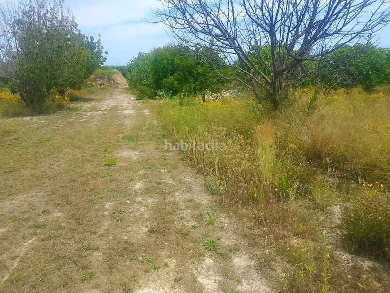 Foto 920e96c9-0422-4f36-81bc-5043c12776a5. Finca rústica a Bèlgida