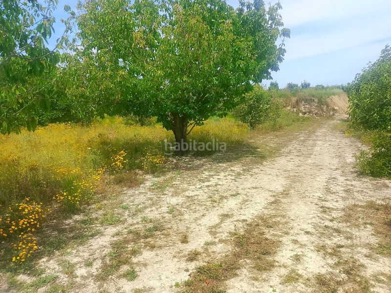 Foto c85ddf96-8f2e-460e-90e0-7123f929b8f1. Finca rústica a Bèlgida