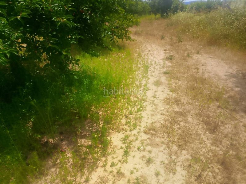 Foto f21aee72-ec82-4b7d-ae8f-aa308639a11c. Finca rústica a Bèlgida