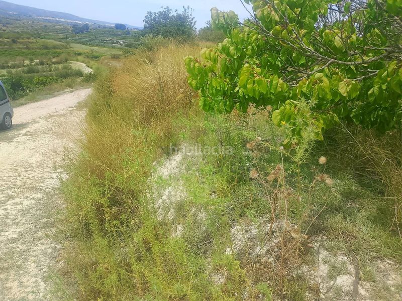Foto f9963946-caa9-483f-aadf-8b96da0a1c5a. Finca rústica a Bèlgida