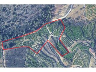 Finca rústica  Avenida sant jaume. Terreno en venta en castellonet de la conquesta