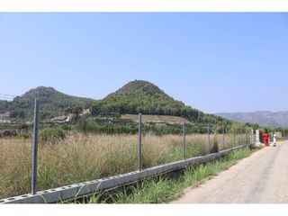 Rural plot  Camino jovada. Terreno de 4,4 hanegadas cerca del motor de san miguel en palma