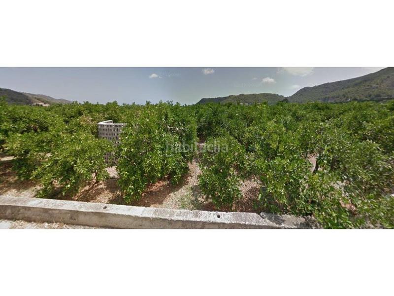 Foto 36f1d808-726c-4b41-8cef-f4509b4dde96. Landgut in Oliva pueblo Oliva