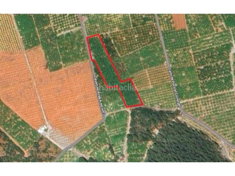 Foto 665d83a7-d756-4ae3-a603-afe2c6055e9c. Landgut in Oliva pueblo Oliva