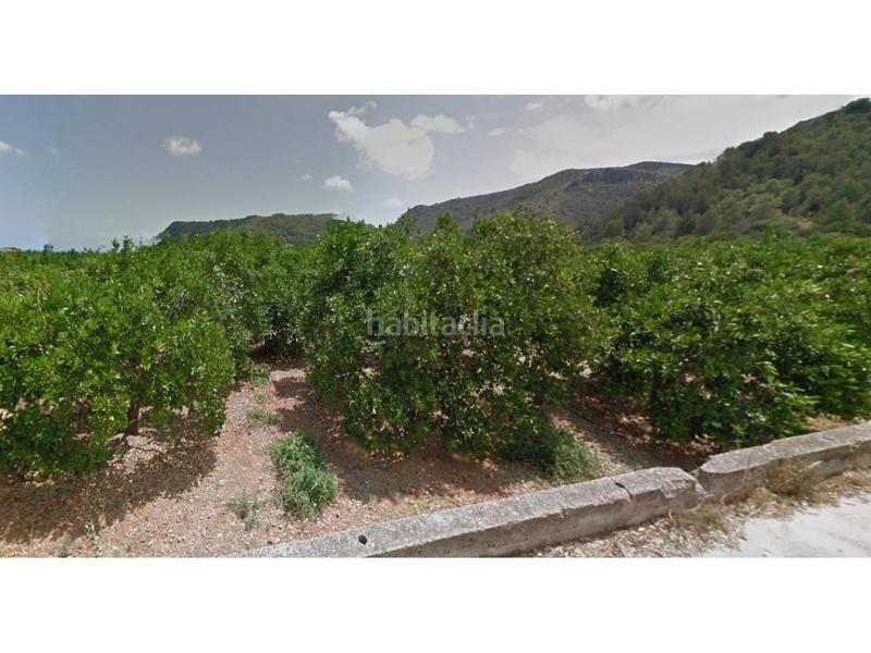 Foto 8b2719a7-8ddb-42a3-b415-0ae8570398e8. Landgut in Oliva pueblo Oliva