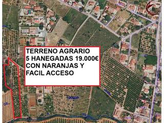 Finca rústica  Planes. Terreno en venta en marchuquera