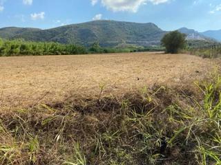 Finca rústica  De la via. Terreno agrario de 26000m en xeresa